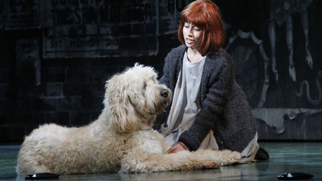 Annie Returns to Australia in 2025