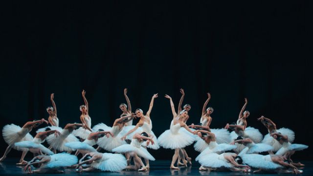 Swan Lake