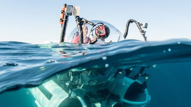 Ningaloo: Australia's Other Great Reef: Full Dome Experience