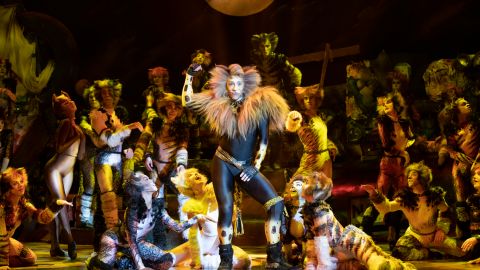 Cats Returns To Its Original Australian Home After 40 Years